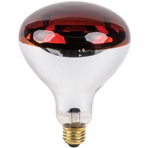 İnfrared Ampülü 250 w